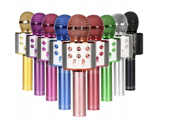 Ausinės, karaokė mikrofonai